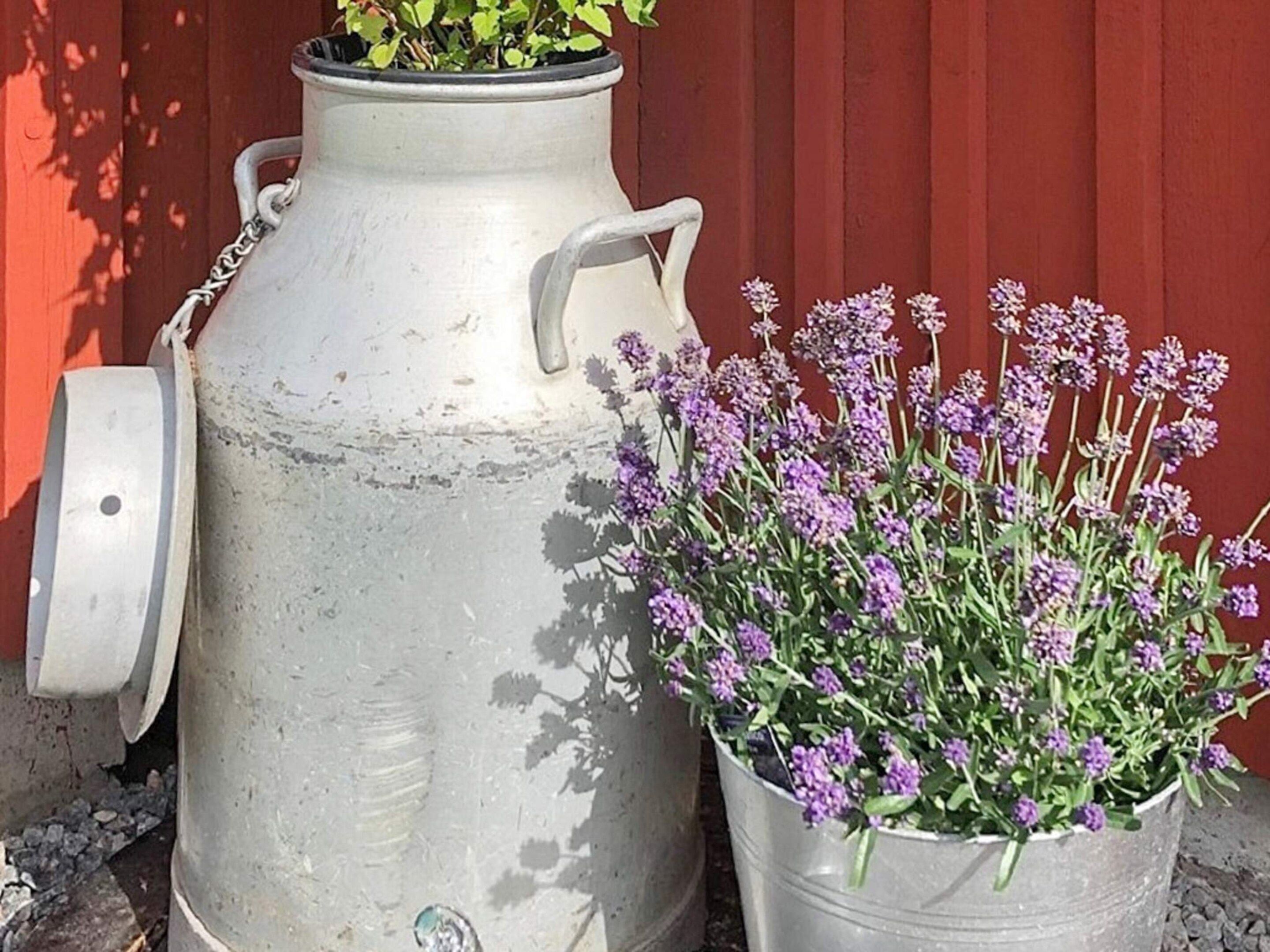 A large metal container with handles and a smaller potted plant with purple flowers.