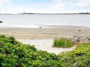 En strand med en sandstrand, grönskande växtlighet och ett lugnt hav.
