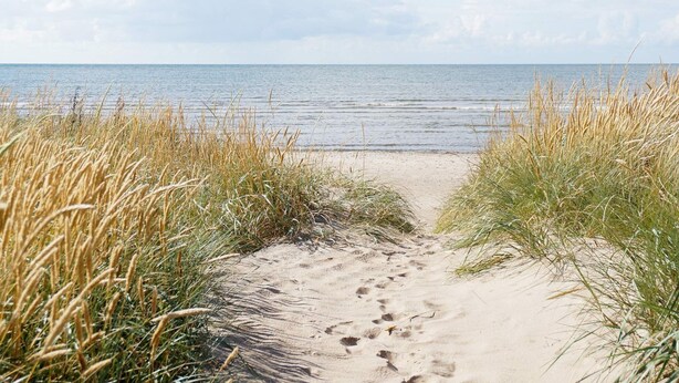 A sandy beach path leading to the ocean, surrounded by tall grass. - 7 Person Holiday Home in Falkenberg-by Traum (Falkenberg)