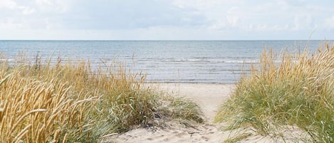 單棟房屋 | 海灘