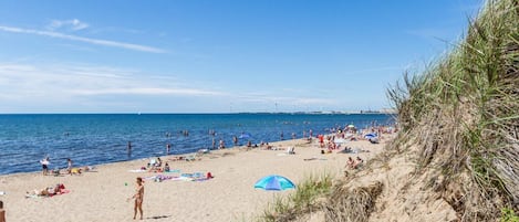 独立别墅 | 海滩