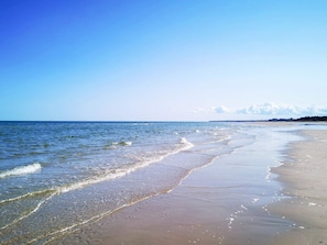 A beach with clear water, a sandy shore, and a distant tree line.