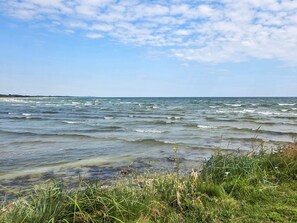 Une vue sur la côte, avec des vagues, de l’herbe et un ciel dégagé.