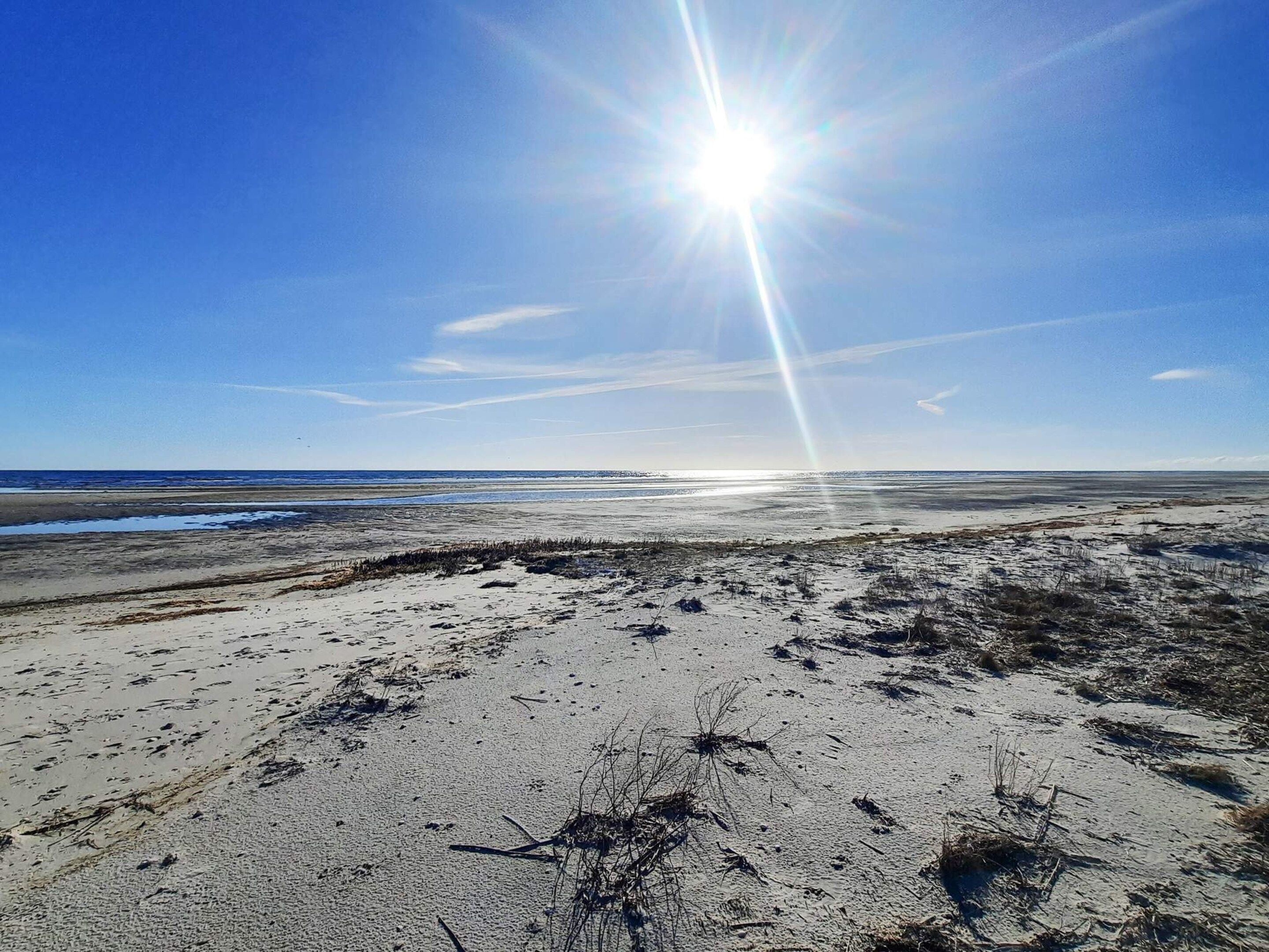 A beach with a clear sky and the sun shining.