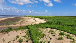 A coastal landscape with a sandy beach, green vegetation, and a clear blue sky. - 4 Person Holiday Home in Romo (Rømø)