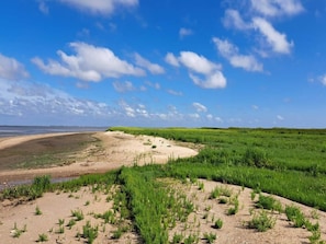 A coastal landscape with a sandy beach and green vegetation. - 4 Person Holiday Home in Romo (Rømø)