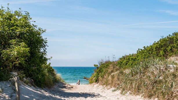 A sandy beach path leading to the sea, surrounded by greenery. - Holiday Apartment Coastal Love (Ostseebad Wustrow)