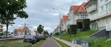 Una calle residencial con sendero pavimentado, coches aparcados y edificios de varios pisos con balcones.