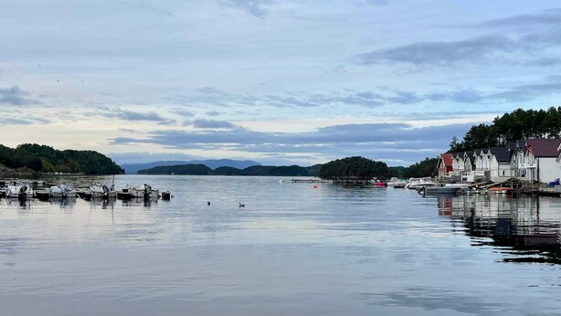 A calm waterfront with boats docked, a row of houses, and a forested hill in the background. - 10 Person Holiday Home in Auklandshamn (Sveio)