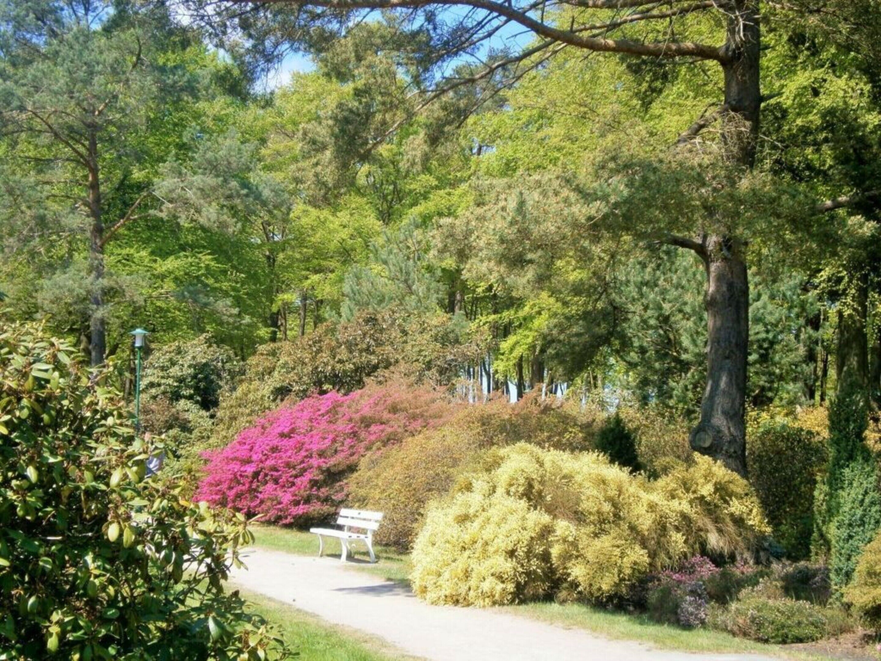 A park with a bench and a path.