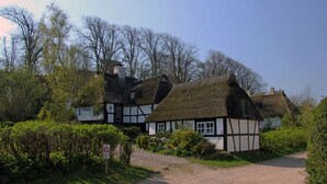 Eksteriør