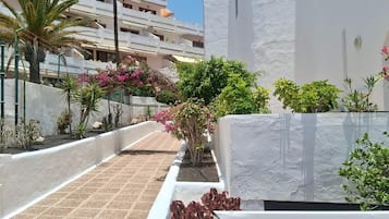 Departamento | Recepción