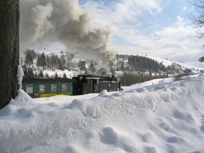 A train emitting smoke in a snowy landscape. - Plush Apartment in Annaberg-buchholz (Annaberg-Buchholz)