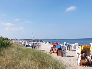 A beach with rows of numbered beach chairs and umbrellas, a pier in the background, and a clear sky. - Holiday Apartment Achtern Diek (Hohwacht)