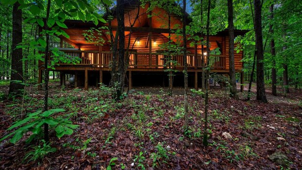 Une cabane en bois entourée d’arbres, au cœur d’une forêt.