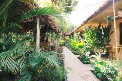 Madam Sokha Homesteading
