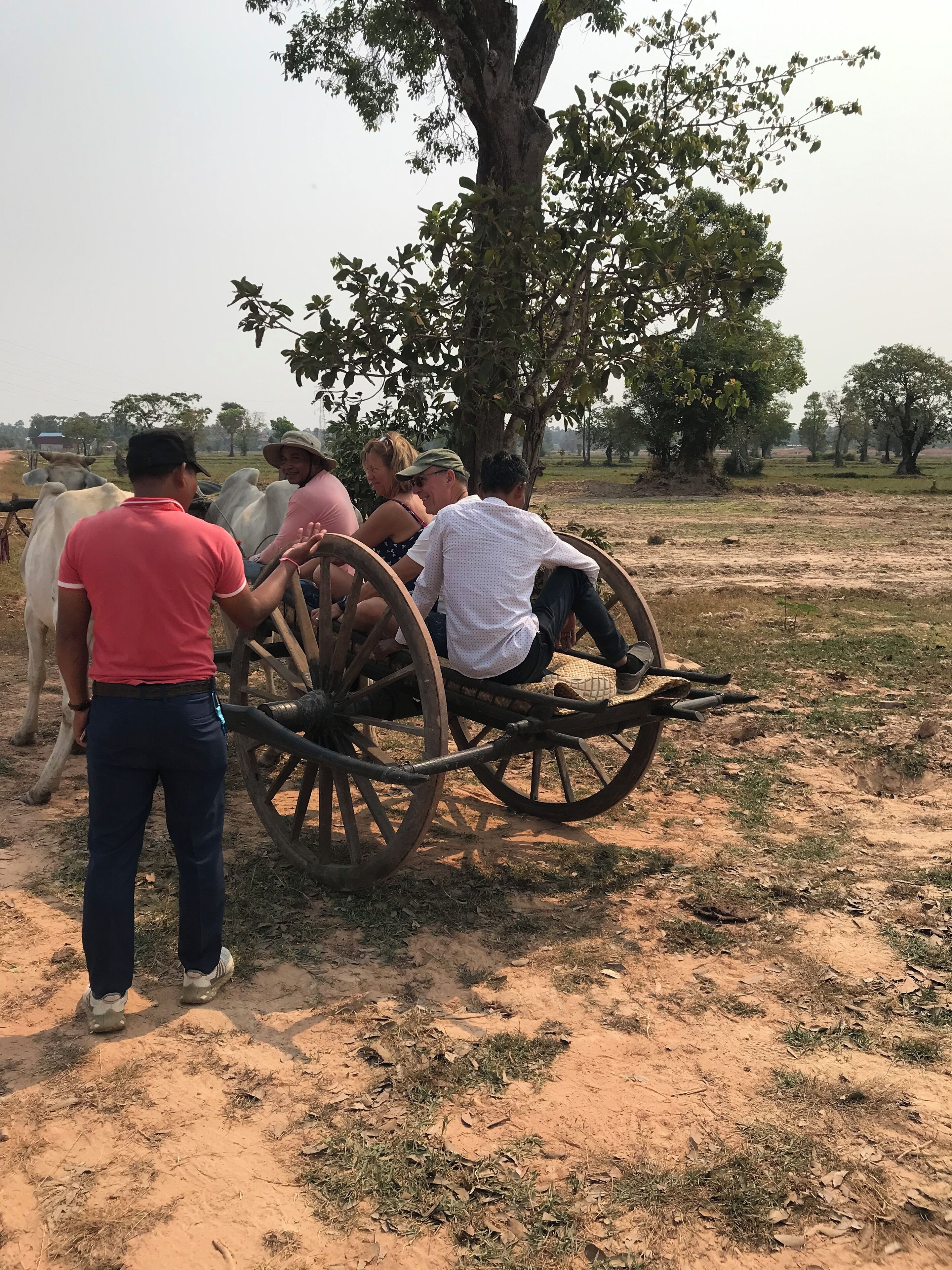 A group of people sitting on a wooden cart in a rural setting with trees and cows in the background.