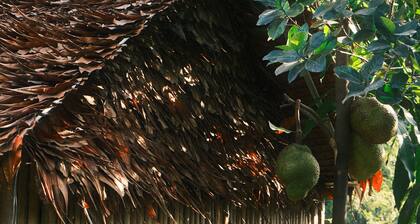 Madam Sokha Homesteading