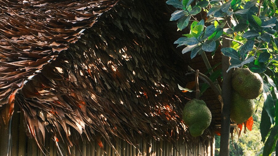 Madam Sokha Homesteading