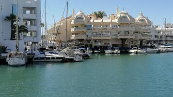 Apartament | Vista des de l'allotjament