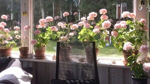 A room with a window overlooking a garden with pink flowers. There is a black chair in the foreground. - 7 Person Holiday Home in Nassjo (Nassjo)