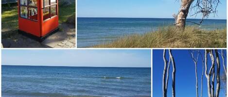 Beach/ocean view