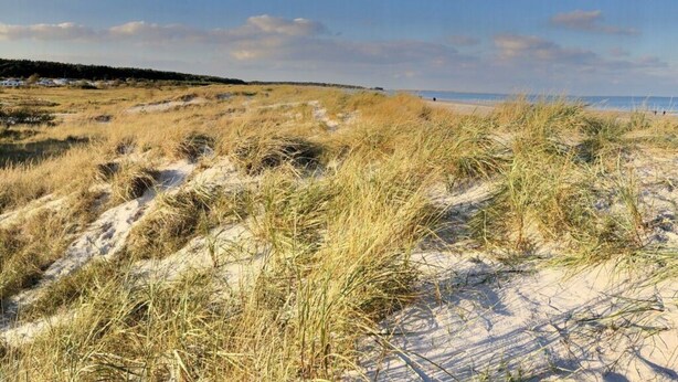 A beach with sand dunes and sparse vegetation. - Fabian Comfortable Holiday Residence (Wieck auf dem Darss)