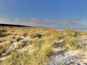 A beach with sand dunes and sparse vegetation. - Fabian Comfortable Holiday Residence (Wieck auf dem Darss)