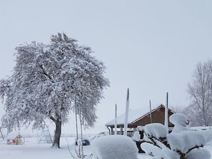 Sneeuw- en skisporten