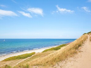 Ein Küstenpfad, der zu einem Strand mit blauem Himmel und ruhiger See führt.