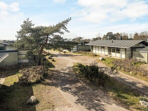 Un terrain de camping comprenant plusieurs cabanes, un sentier de terre et un grand arbre.