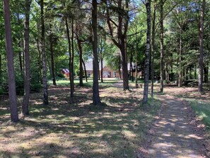 A forested area with a dirt path leading to a building with a red roof.