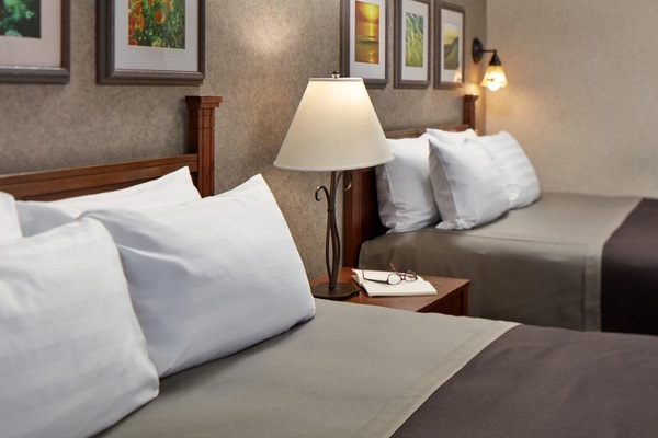 Drift off on crisp linens under warm, restful lighting.