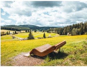Exterior - Appartementencomplex Titisee (Titisee-Neustadt)