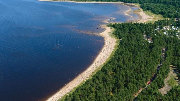 An aerial view of a coastal area with a beach, dense forest, and a row of cabins. - 4 Star Holiday Home in Skutskar-by Traum (Alvkarleby)
