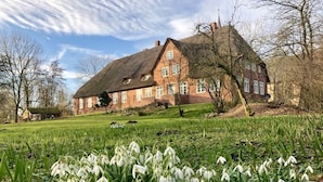 Ein großes Backsteinhaus mit Strohdach, umgeben von einer grünen Wiese und Schneeglöckchen.