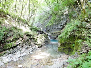 Un ruisseau naturel à lit rocheux, bordé d’une végétation luxuriante.