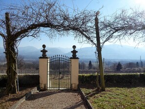 Garden - Apartment in Valbelluna With Pool & Dolomites View (Santa Giustina)