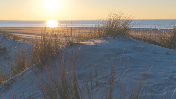 A beach with sand dunes and grass in the foreground, and the sun is setting in the background. - Beach House Langeoog (Langeoog)