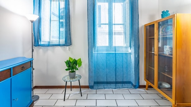 A room with two windows, a blue cabinet, a small table with a plant, and a wooden cabinet with glass doors.