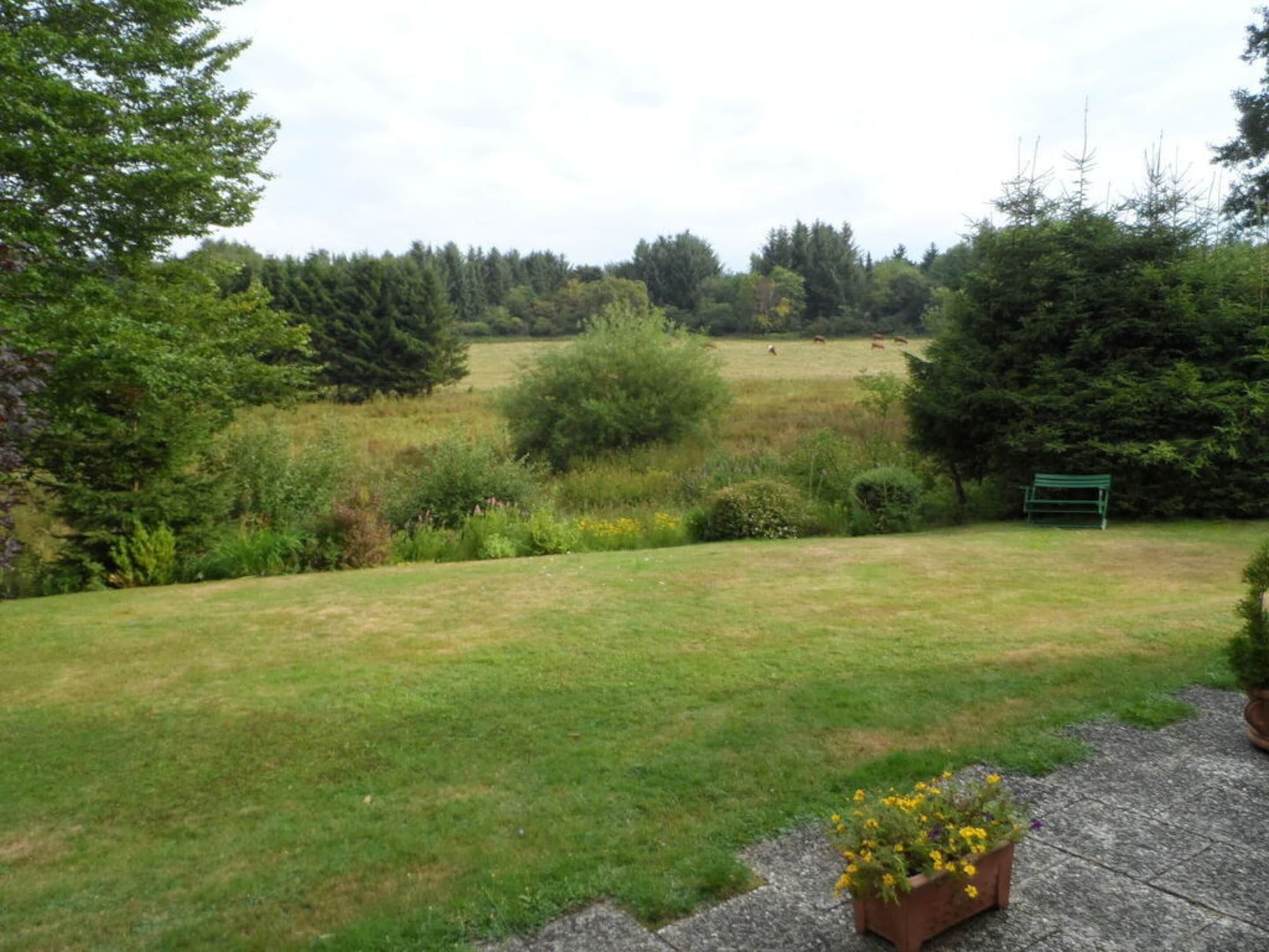 A grassy field with a bench and a sign in the distance.