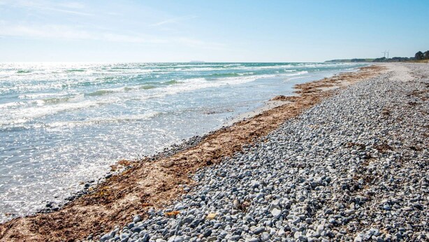 Plage