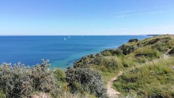 A coastal landscape with a clear sky, a sandy path, and dense greenery.