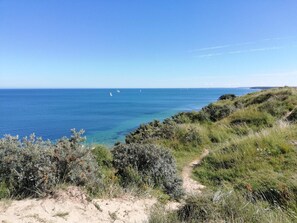 Un paysage côtier avec un ciel dégagé, un sentier sablonneux et une végétation luxuriante.