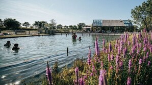 Ein Schwimmbecken mit darin badenden Personen, umgeben von lila Blumen und einem Gebäude mit Glasdach.