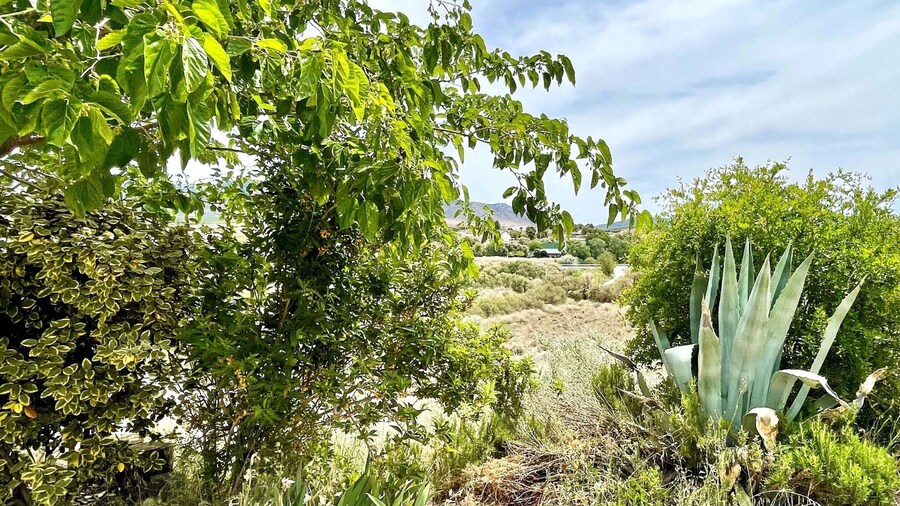 Cave House in Cullar Near Tabernas Desert