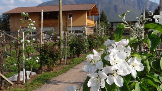 A rural house with a dirt path leading to it, surrounded by greenery and mountains in the background. - Magdalena at the Urbanhof (Bolzano)