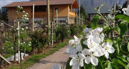 Magdalena at the Urbanhof