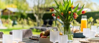 Luxury Chalet Near Ouddorp With Garden