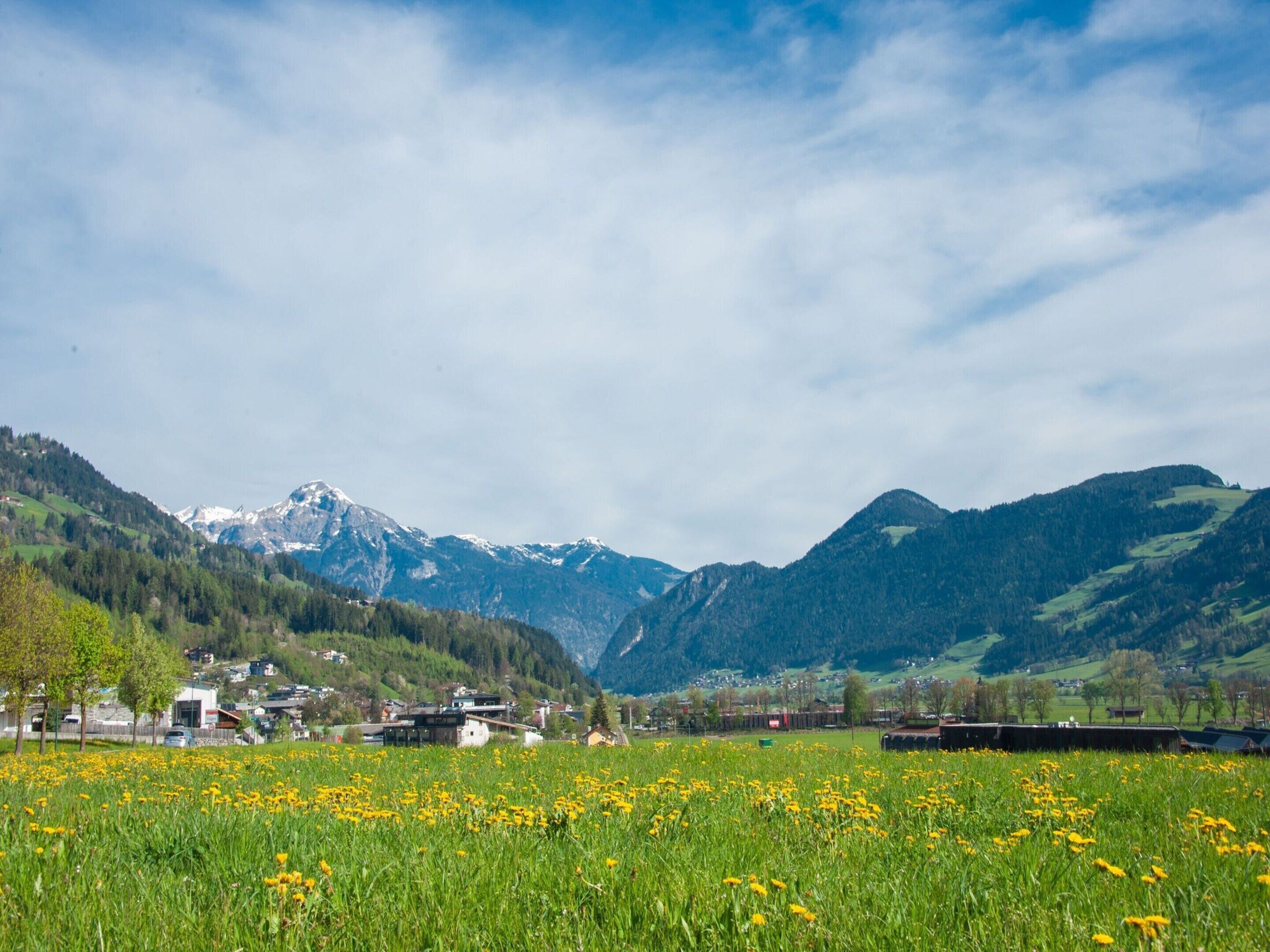 A mountainous landscape with a field of yellow flowers in the foreground and a village with buildings in the midground.
